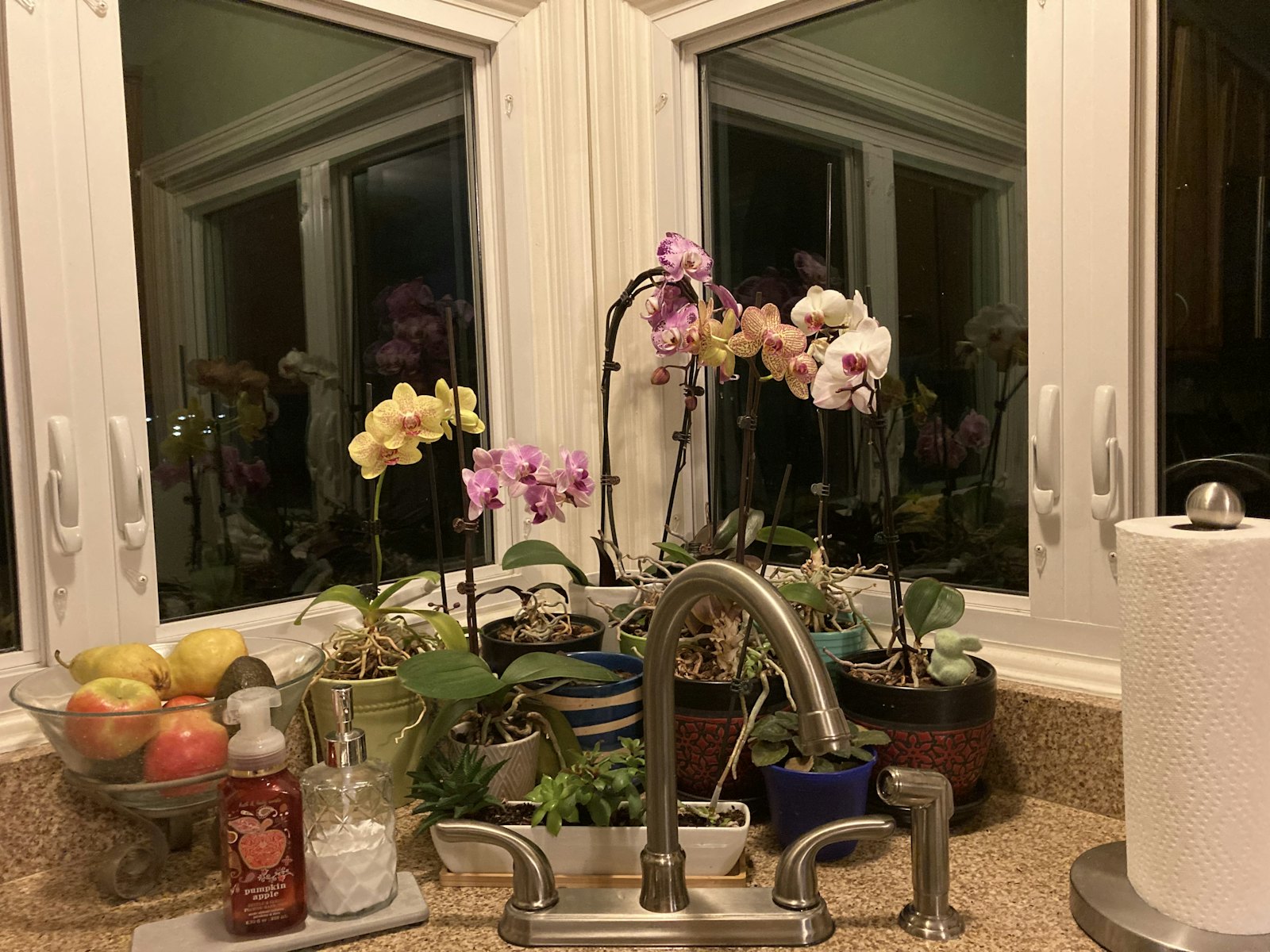 Plumbing Co Backflow Guy — plumber in Metairie, LA