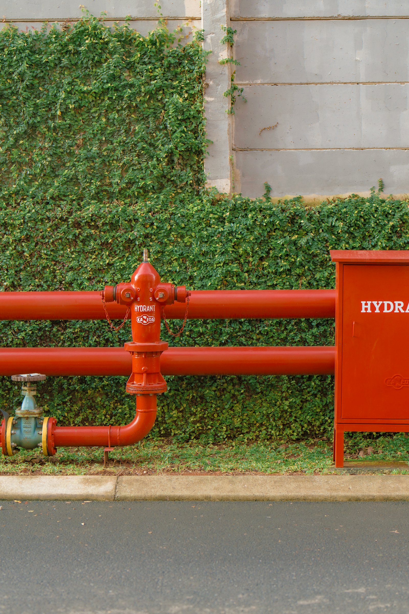 Plumbing Experts NW — plumber in Gretna, LA